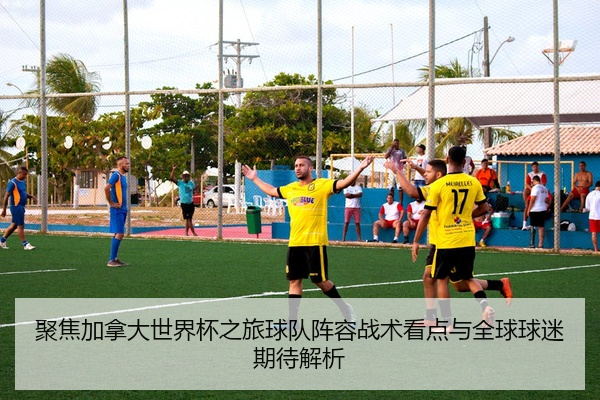 聚焦加拿大世界杯之旅球队阵容战术看点与全球球迷期待解析