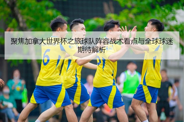 聚焦加拿大世界杯之旅球队阵容战术看点与全球球迷期待解析