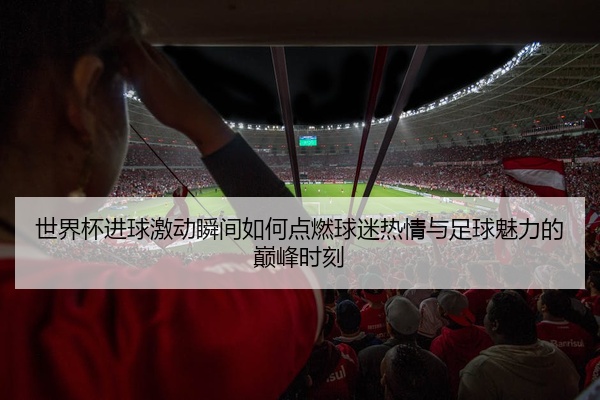 世界杯进球激动瞬间如何点燃球迷热情与足球魅力的巅峰时刻