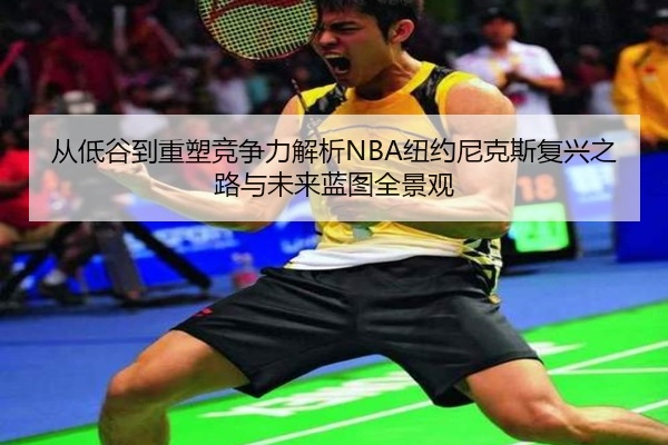 从低谷到重塑竞争力解析NBA纽约尼克斯复兴之路与未来蓝图全景观
