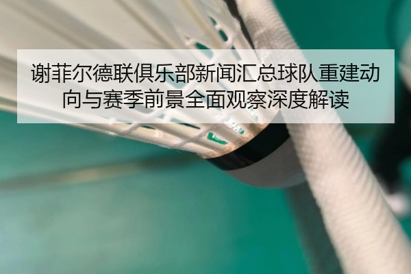 谢菲尔德联俱乐部新闻汇总球队重建动向与赛季前景全面观察深度解读