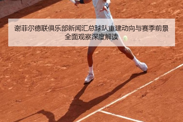 谢菲尔德联俱乐部新闻汇总球队重建动向与赛季前景全面观察深度解读