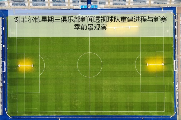 谢菲尔德星期三俱乐部新闻透视球队重建进程与新赛季前景观察