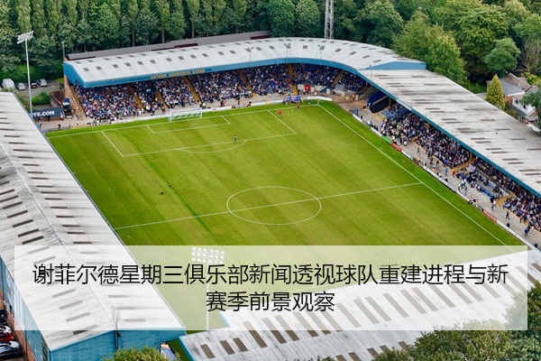 谢菲尔德星期三俱乐部新闻透视球队重建进程与新赛季前景观察