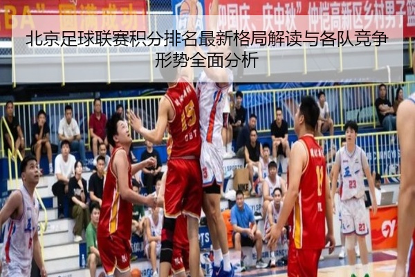 北京足球联赛积分排名最新格局解读与各队竞争形势全面分析