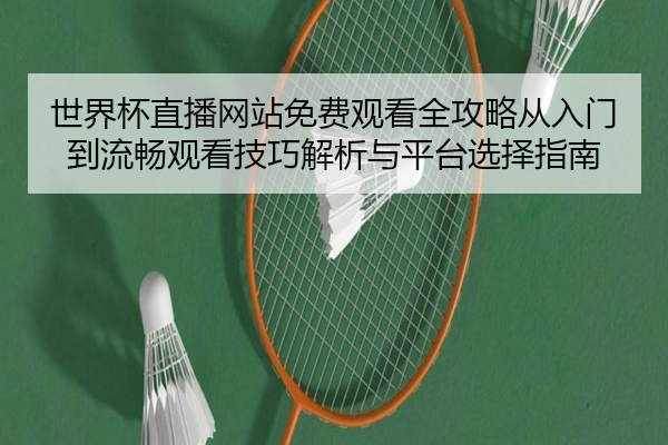 世界杯直播网站免费观看全攻略从入门到流畅观看技巧解析与平台选择指南