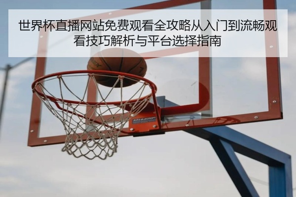 世界杯直播网站免费观看全攻略从入门到流畅观看技巧解析与平台选择指南